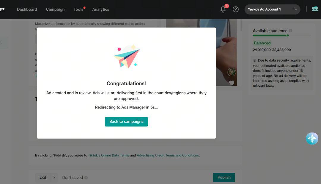 TikTok Promotion Example 1