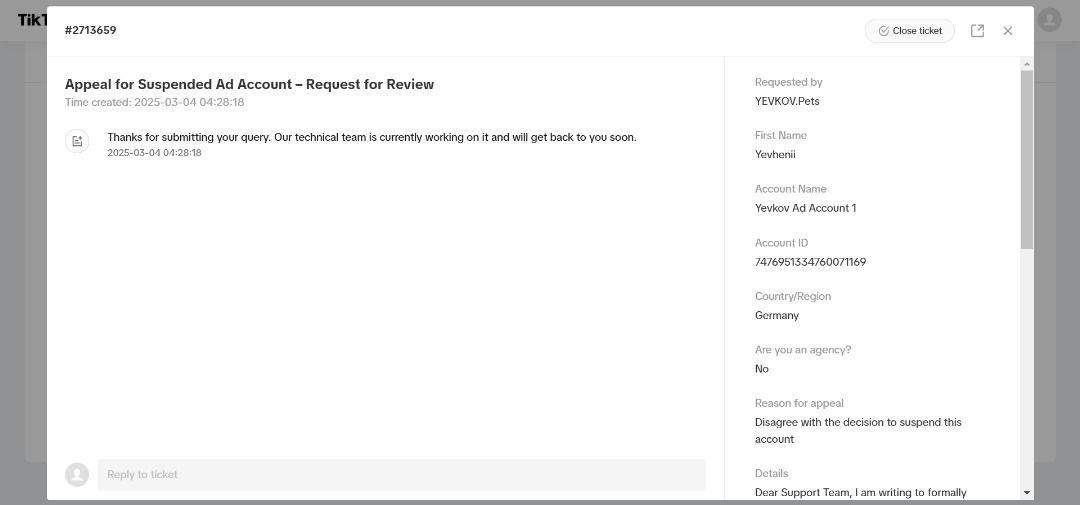 TikTok Promotion Example 2